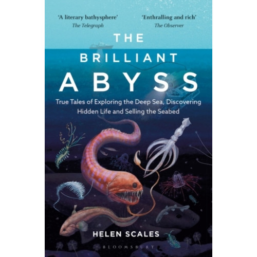 Helen Scales Brilliant Abyss - True Tales of Exploring the Deep Sea, Discovering Hidden (pocket, eng)