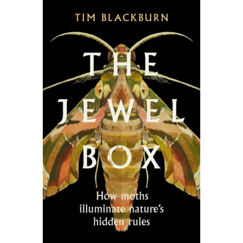 Tim Blackburn The Jewel Box (häftad, eng)