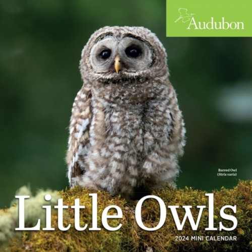 Workman Calendars Audubon Little Owls Mini Wall Calendar 2024 (bok, eng)