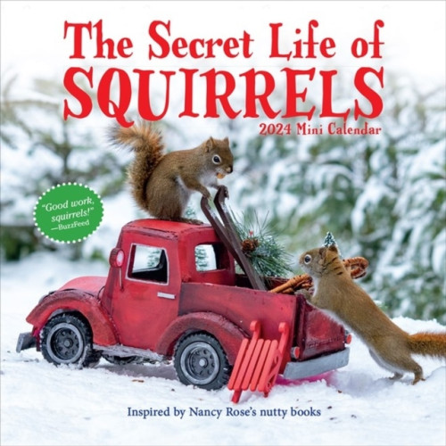 Nancy Rose Secret Life of Squirrels Mini Calendar 2024 (bok, eng)