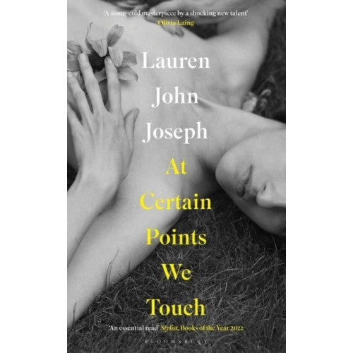 Lauren John Joseph At Certain Points We Touch (häftad, eng)