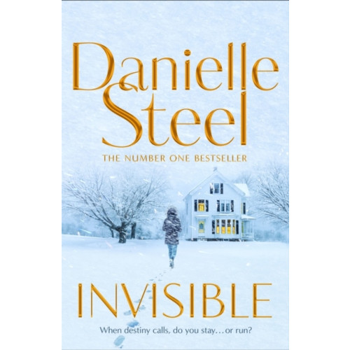 Danielle Steel Invisible (häftad, eng)