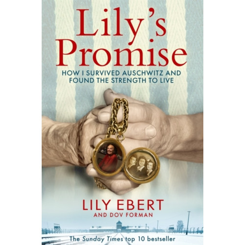 Lily & Forman,  Dov Ebert Lily's Promise (pocket, eng)