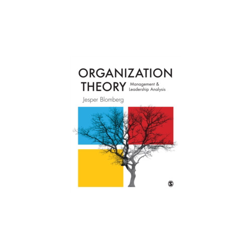 Jesper Blomberg Organization Theory - Management and Leadership Analysis (bok, eng)