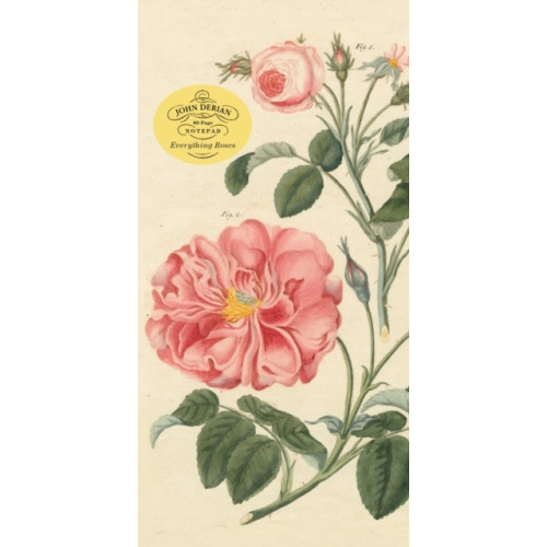 John Derian John Derian Paper Goods: Everything Roses Notepad (häftad, eng)