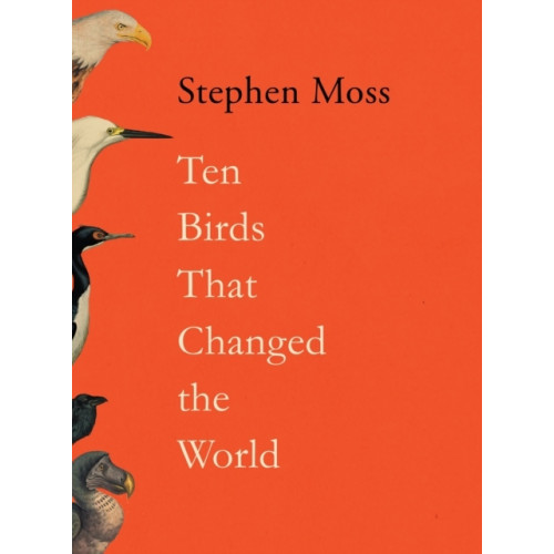 Stephen Moss Ten Birds That Changed the World (inbunden, eng)