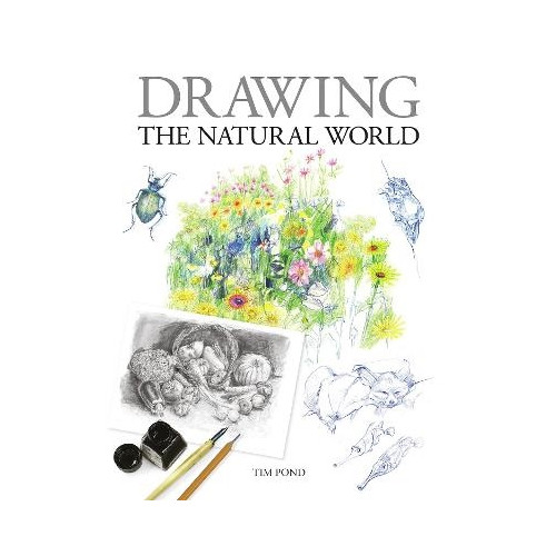 Tim Pond Drawing the Natural World (pocket, eng)