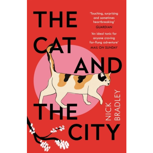 Nick Bradley Cat and The City (pocket, eng)