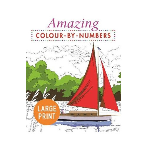 Arcturus Publishing Amazing Colour-by-Numbers Large Print (pocket, eng)