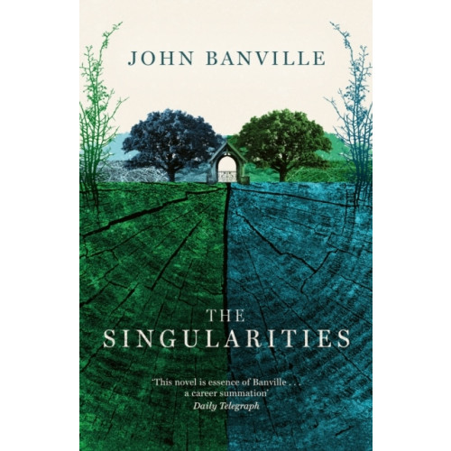 John Banville The Singularities (pocket, eng)
