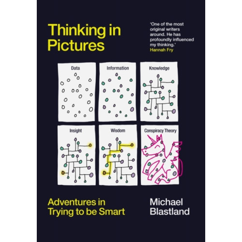 Michael Blastland Thinking in Pictures (inbunden, eng)