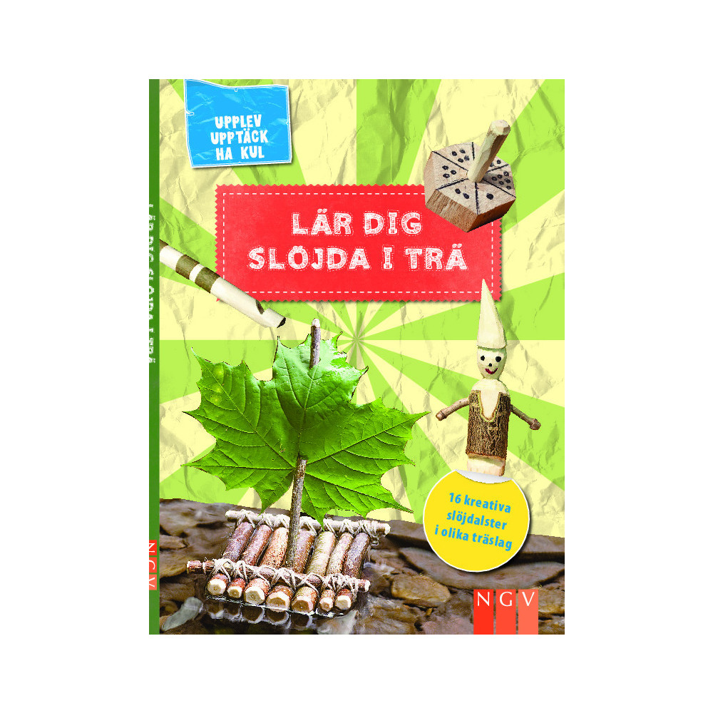 Produktbild för Lär dig slöjda i trä (inbunden)