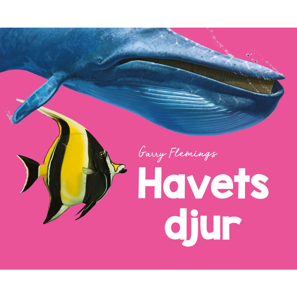 Produktbild för Havets djur (inbunden)