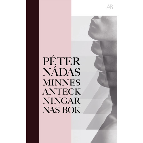 Peter Nádas Minnesanteckningarnas bok (bok, storpocket)