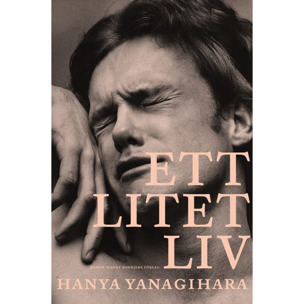 Produktbild för Ett litet liv (bok, storpocket)