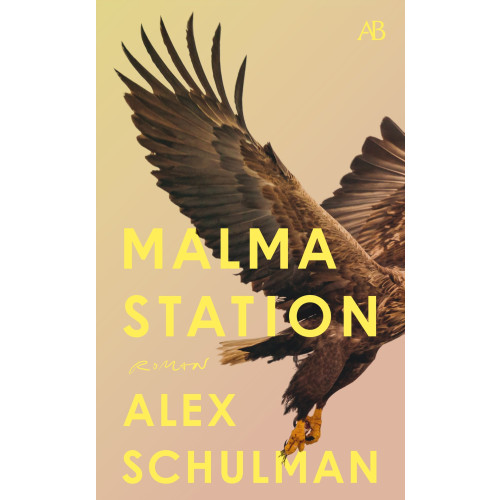 Alex Schulman Malma station (pocket)