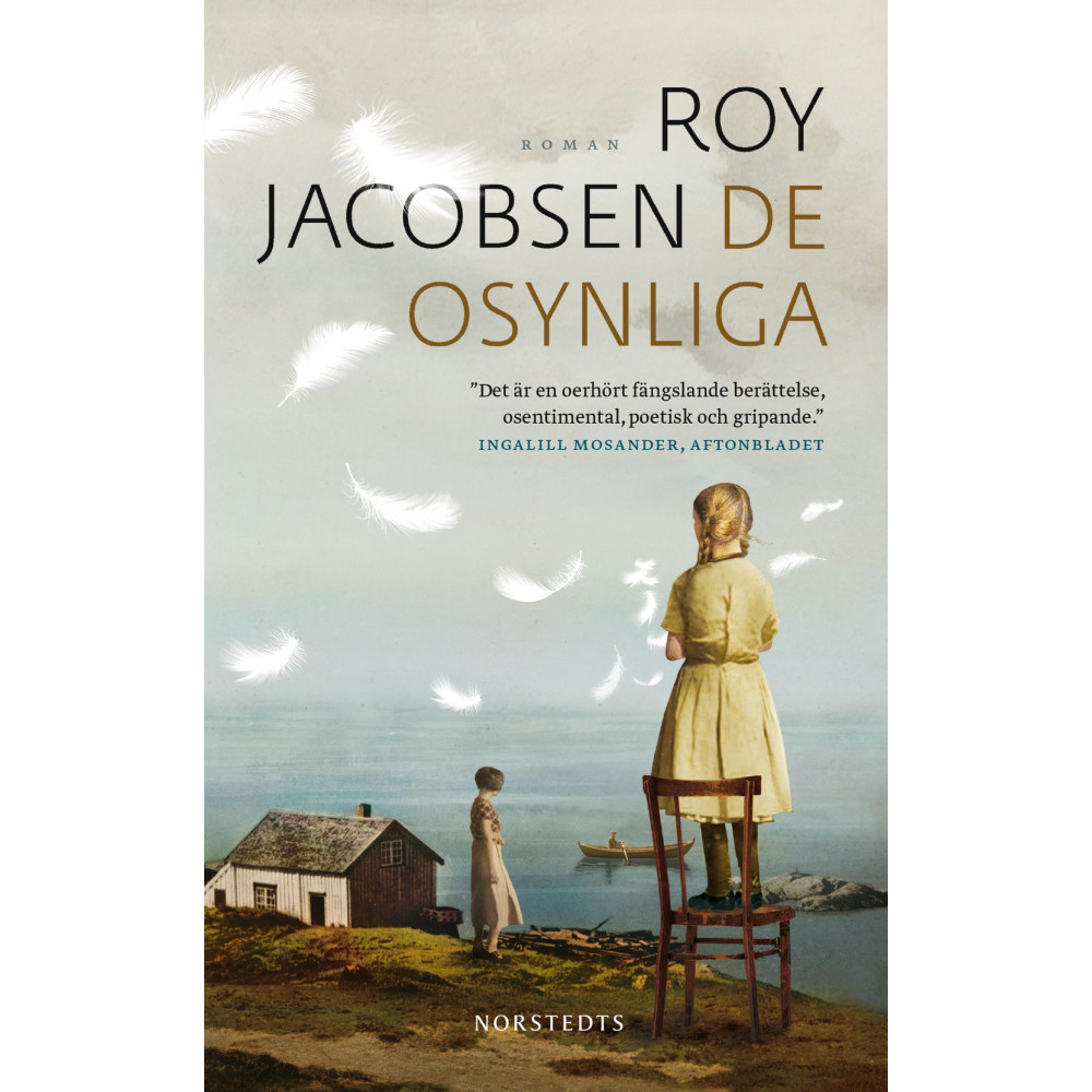 Produktbild för De osynliga (pocket)