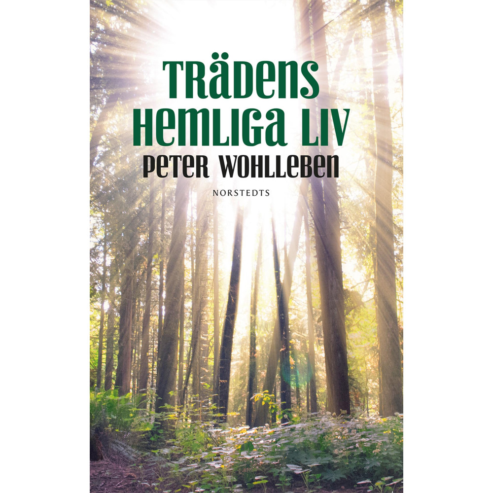 Produktbild för Trädens hemliga liv (inbunden)