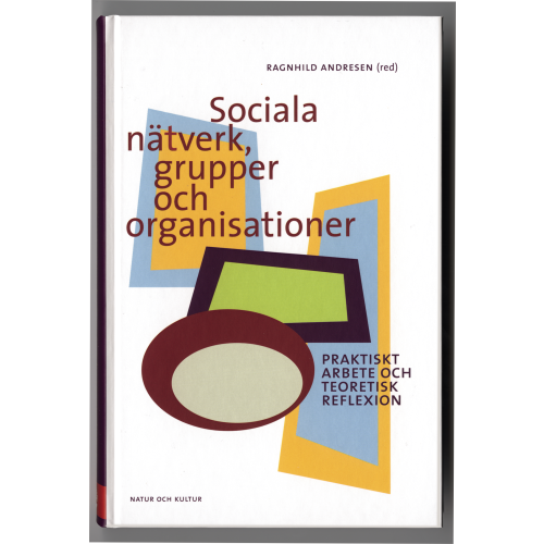 Natur & Kultur Akademisk Sociala nätverk, grupper och organisationer : praktiskt arbete och teoretisk reflexion (bok, kartonnage)