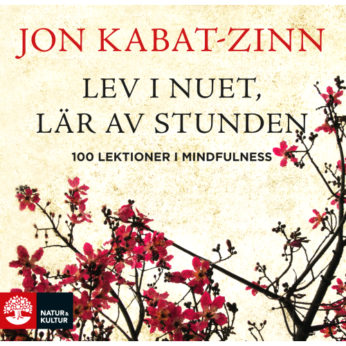 Jon Kabat-Zinn Lev i nuet, lär av stunden : 100 lektioner i mindfulness (häftad)