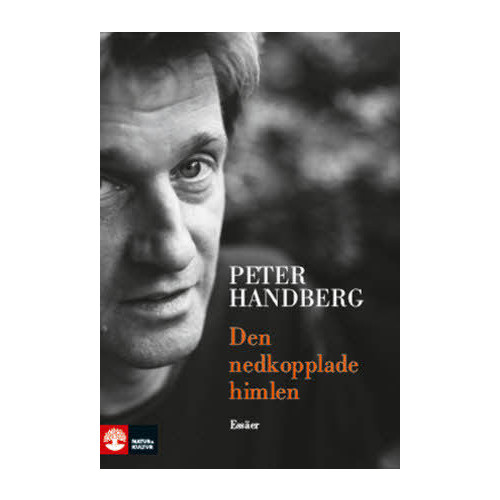 Peter Handberg Den nedkopplade himlen och andra essäer (bok, danskt band)