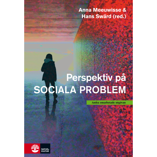 Anna Meeuwisse Perspektiv på sociala problem (bok, kartonnage)