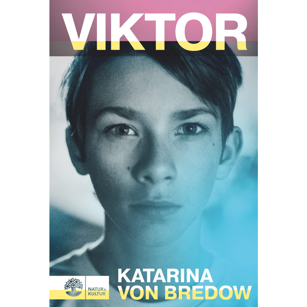 Produktbild för Viktor (inbunden)