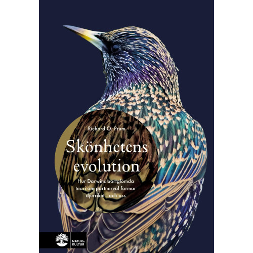 Richard O. Prum Skönhetens evolution : hur Darwins bortglömda teori om det sexuella urvalet formar djurriket - och oss (inbunden)