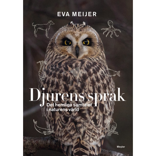 Eva Meijer Djurens språk : det hemliga samtalet i naturens värld (pocket)