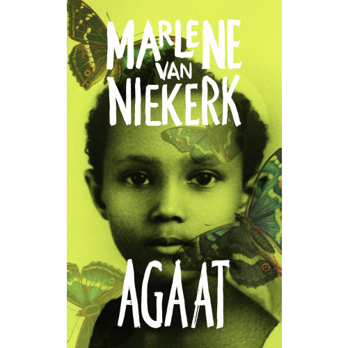 Marlene Van Niekerk Agaat (pocket)