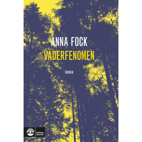 Anna Fock Väderfenomen (pocket)