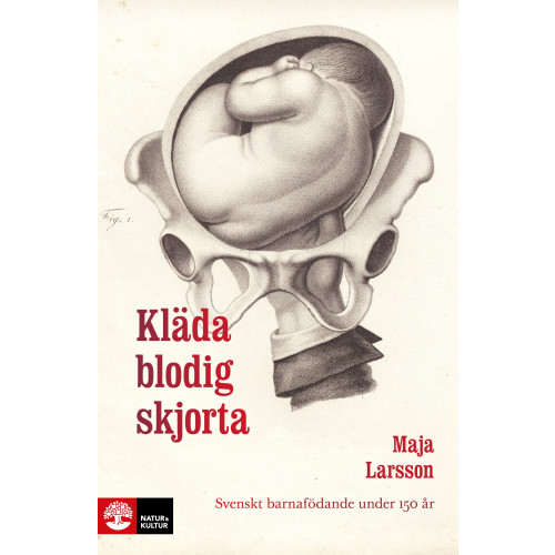 Maja Larsson Kläda blodig skjorta : svenskt barnafödande under 150 år (inbunden)