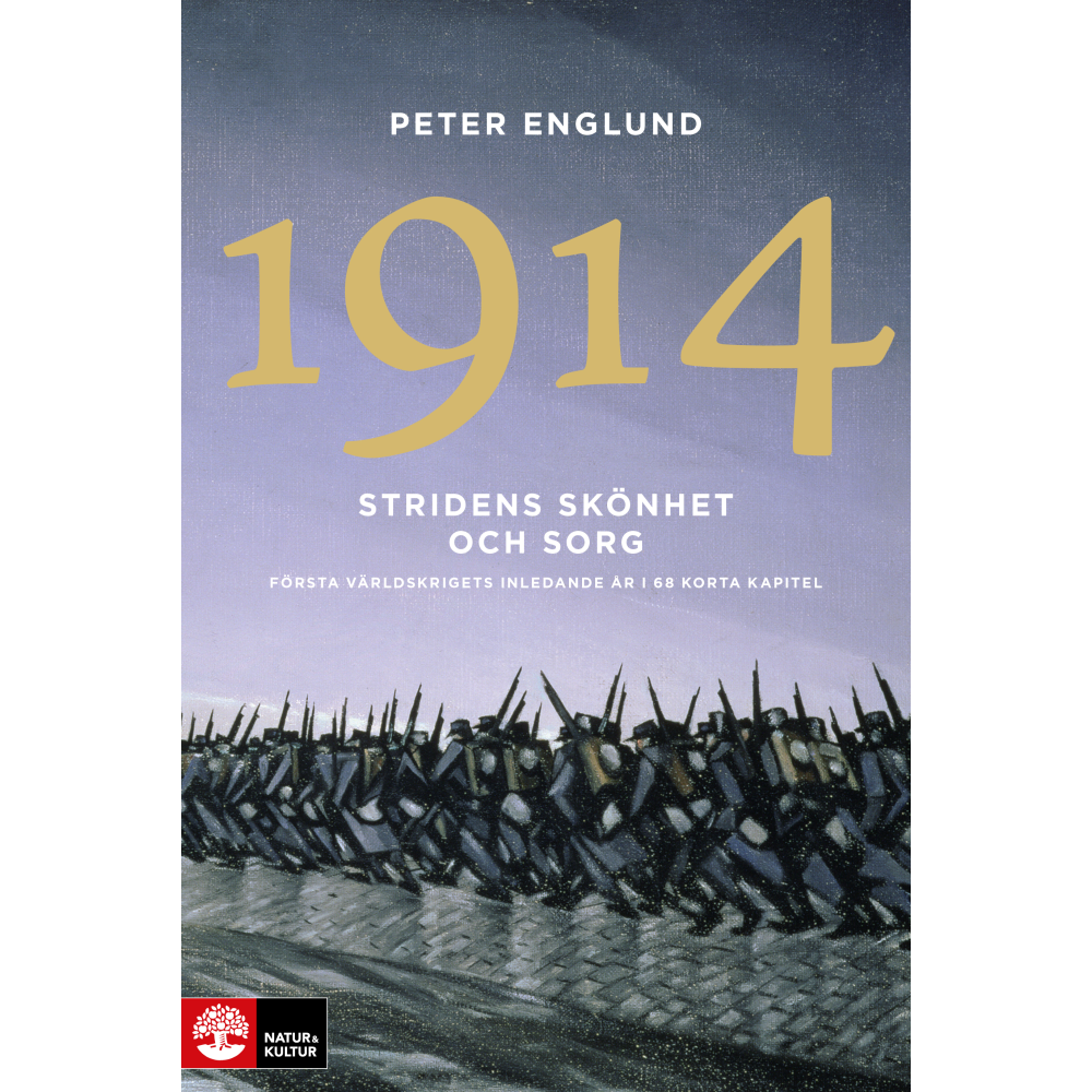 Produktbild för Stridens skönhet och sorg 1914 : första världskrigets inledande år i 68 korta kapitel (pocket)