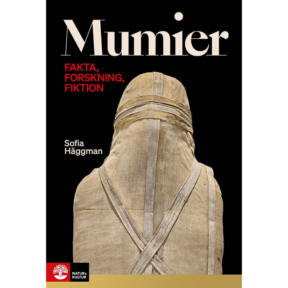 Produktbild för Mumier : fakta, forskning, fiktion (inbunden)
