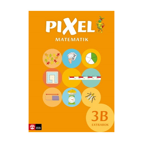 Bjørnar Alseth Pixel 3B Extrabok, andra upplagan (häftad)
