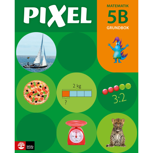 Bjørnar Alseth Pixel 5B Grundbok, med digital färdighetsträning, andra upplagan (häftad)