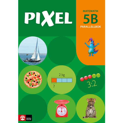 Bjørnar Alseth Pixel 5B Parallellbok, andra upplagan (häftad)
