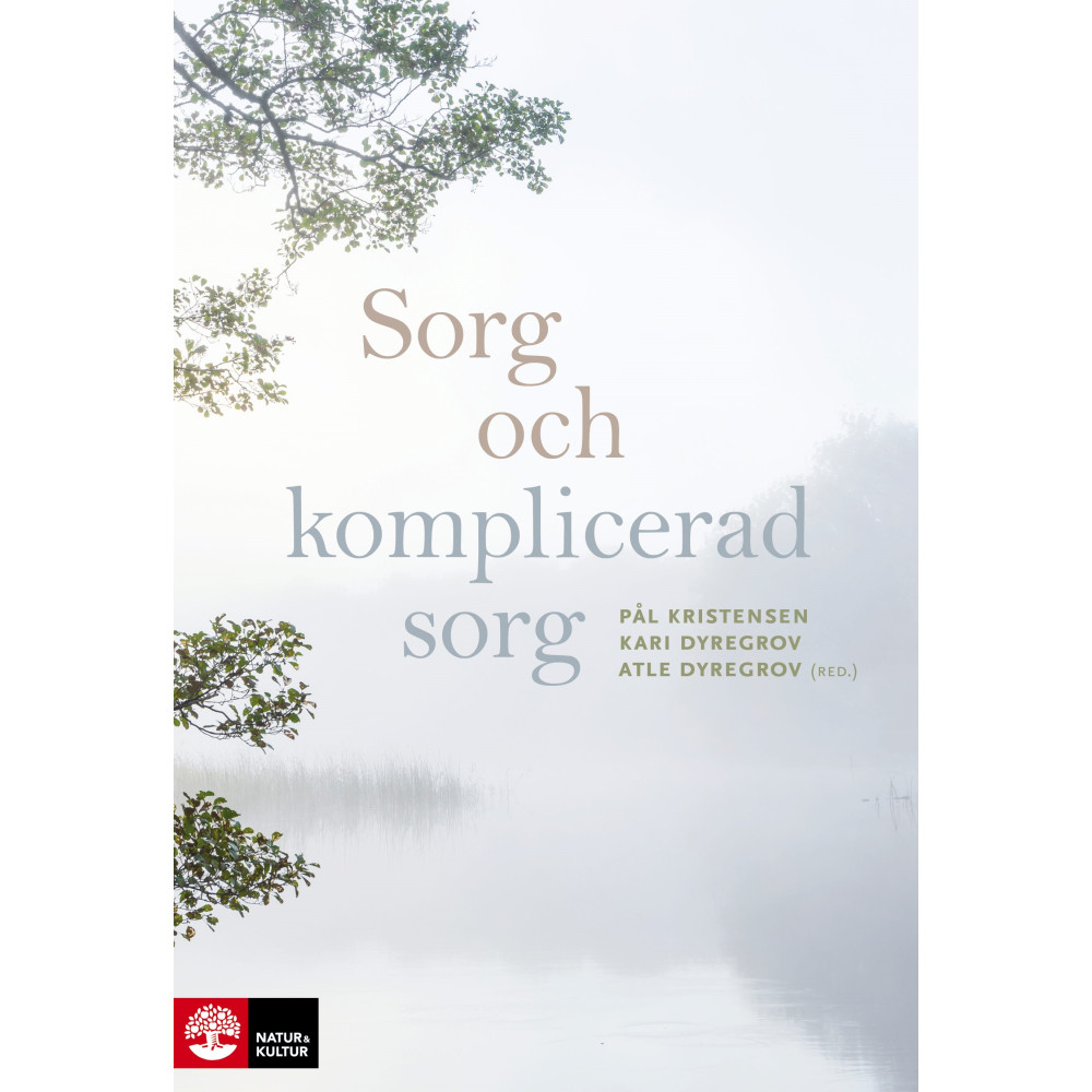 Produktbild för Sorg och komplicerad sorg (inbunden)