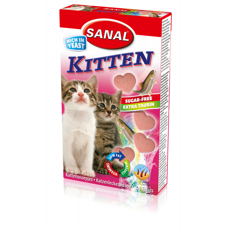 Produktbild för Kitten