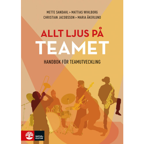 Mette Sandahl Allt ljus på teamet : en handbok för teamutveckling (bok, flexband)