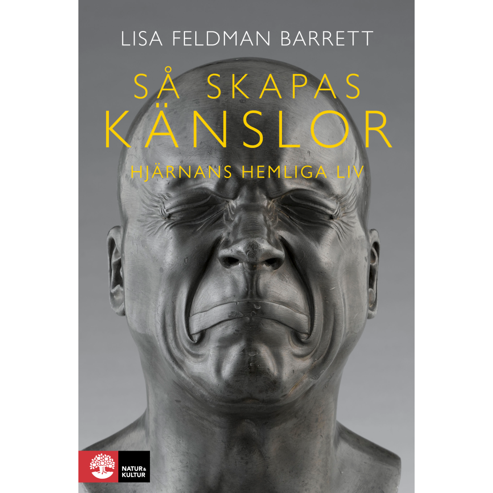 Produktbild för Så skapas känslor : Hjärnans hemliga liv (inbunden)