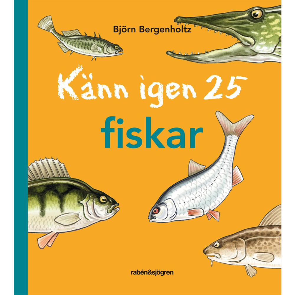 Produktbild för Känn igen 25 fiskar (inbunden)