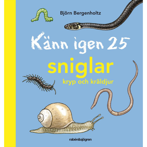 Björn Bergenholtz Känn igen 25 sniglar, kryp och kräldjur (inbunden)