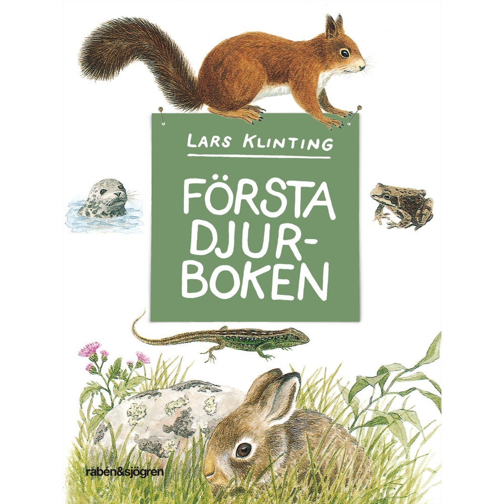 Produktbild för Första djurboken : däggdjur groddjur kräldjur (inbunden)