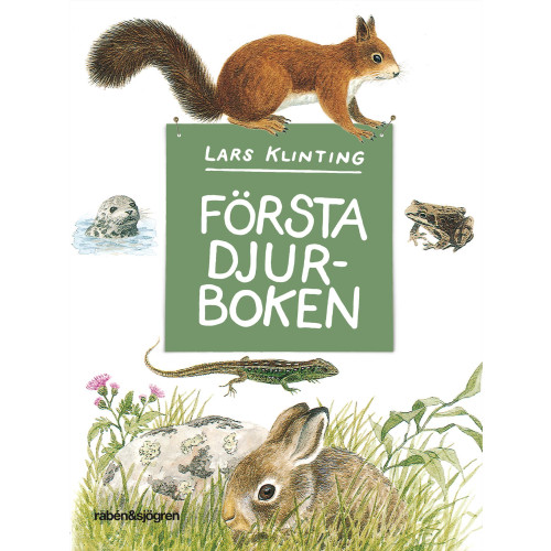 Lars Klinting Första djurboken : däggdjur groddjur kräldjur (inbunden)