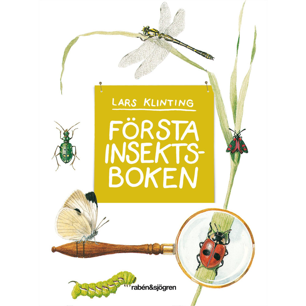 Produktbild för Första insektsboken (inbunden)