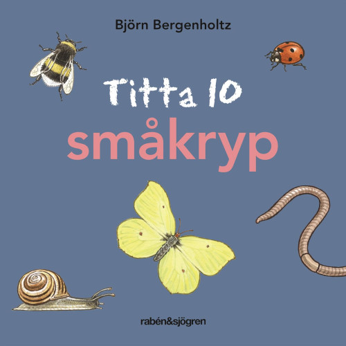 Björn Bergenholtz Titta 10 småkryp (bok, board book)