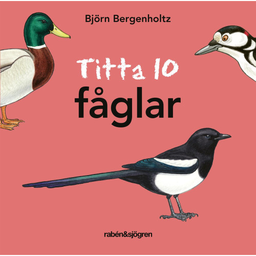 Björn Bergenholtz Titta 10 fåglar (bok, board book)