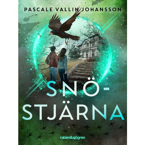 Pascale Vallin Johansson Snöstjärna (inbunden)