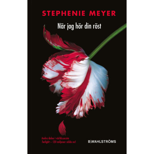 Stephenie Meyer När jag hör din röst (pocket)